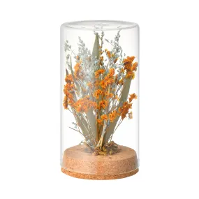 Bottled Dried Flower Mix Orange