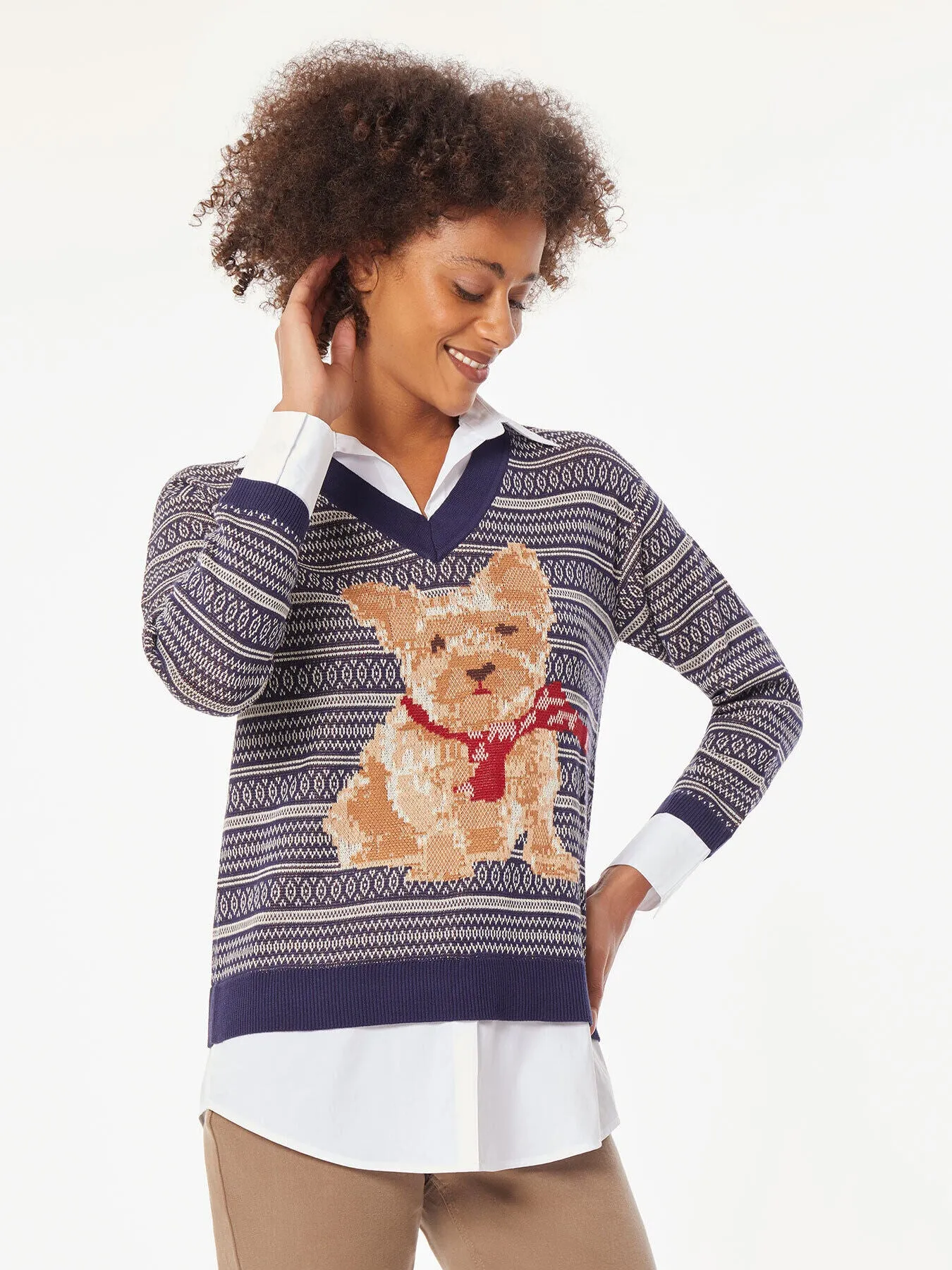 Holiday Dog V-Neck Sweater