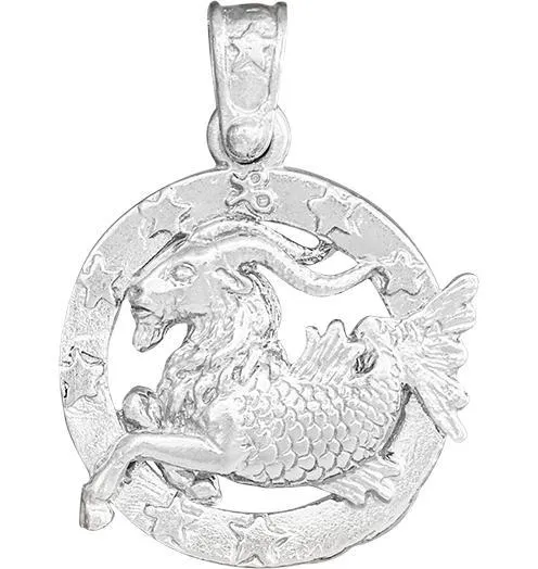 Large Capricorn Zodiac Charm